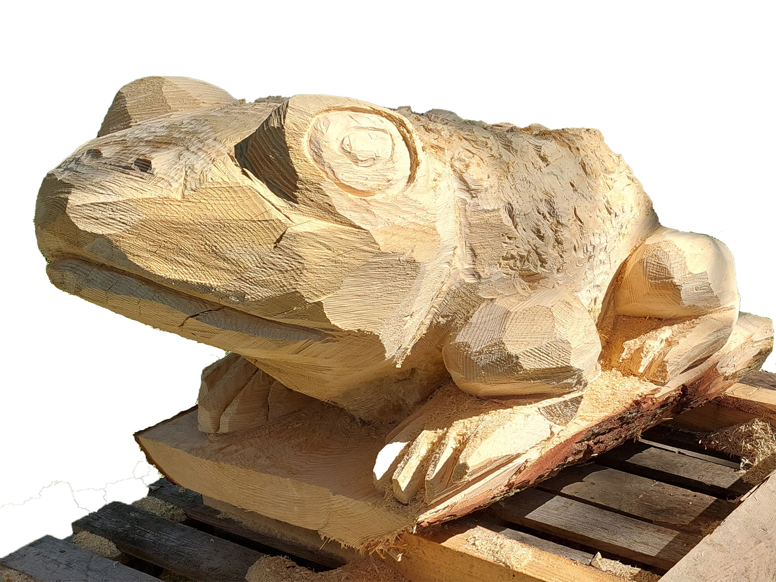 Sentier didactique (cycle 1) – Bufo le Crapaud