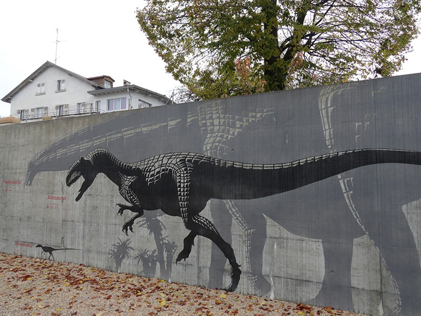 La Dinotec est un site satellite de Jurassica à la pointe des techniques de valorisation. Vous pouvez y admirer des traces de dinosaures tout en accédant à un contenu informatif et ludique grâce à un livret électronique et à des visualisations 3D