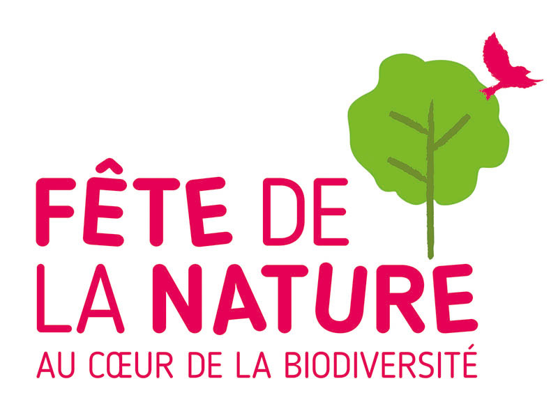 Fête de la Nature: mer, glace et fontaines à St-Triphon