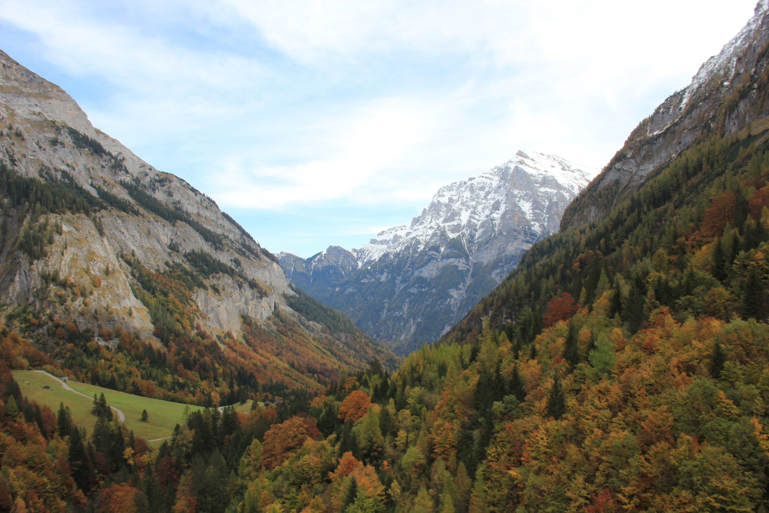 Etude d&rsquo;impact « chemin de transhumance »