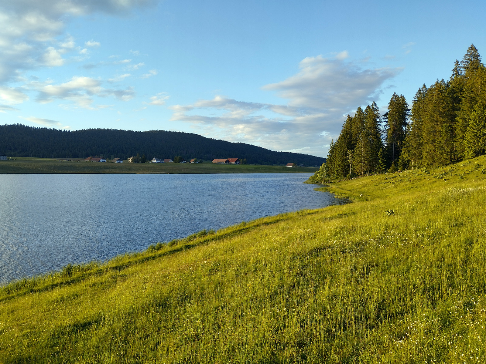 Le bureau Relief se met au (Tra)vert