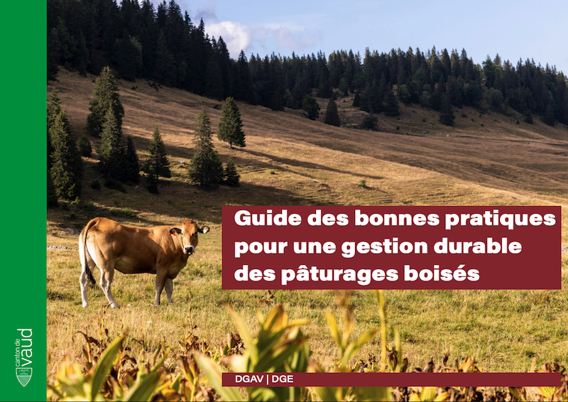 Gestion durable des pâturages boisés