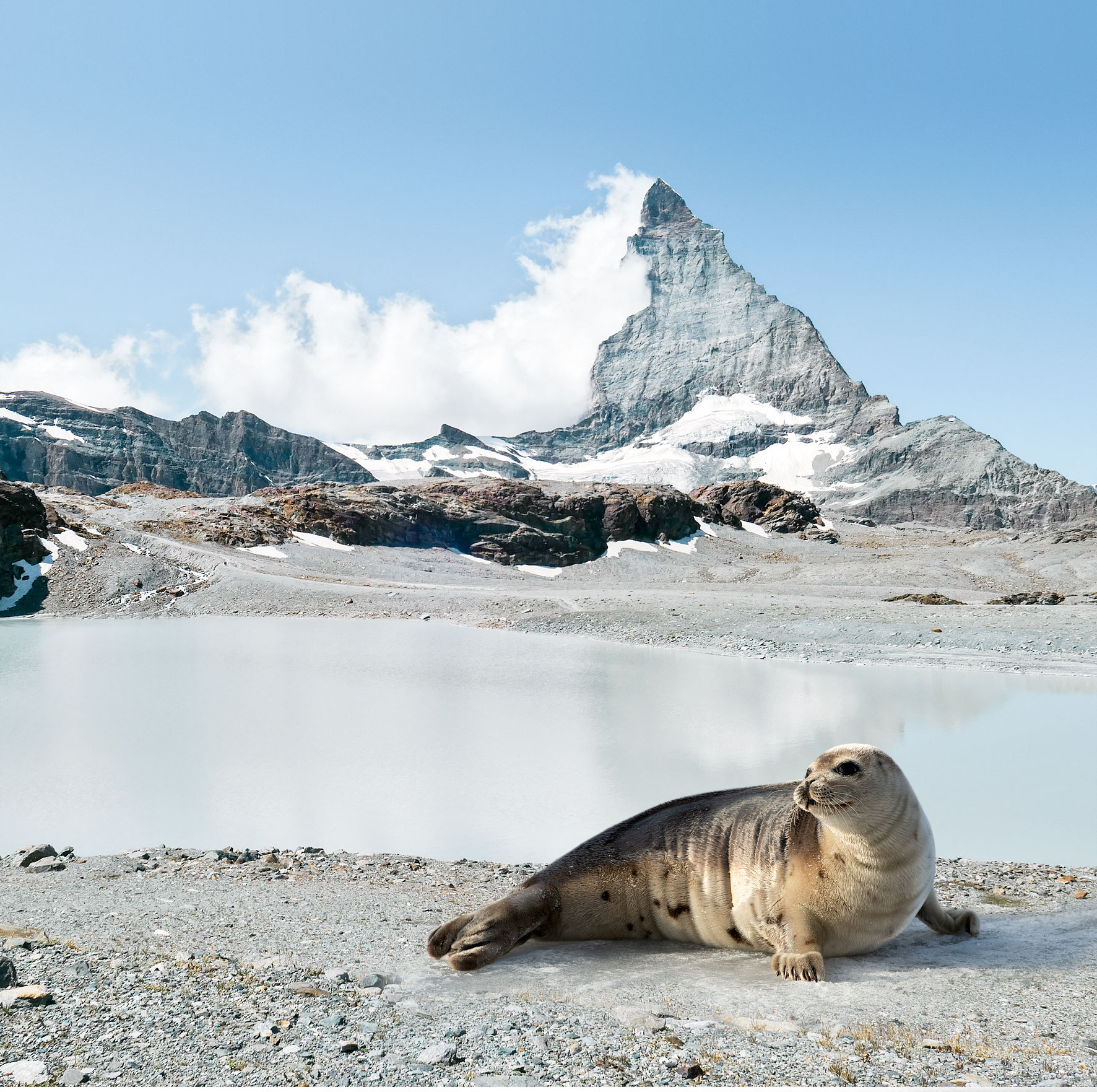 Le Cervin – de l’océan à l’Afrique