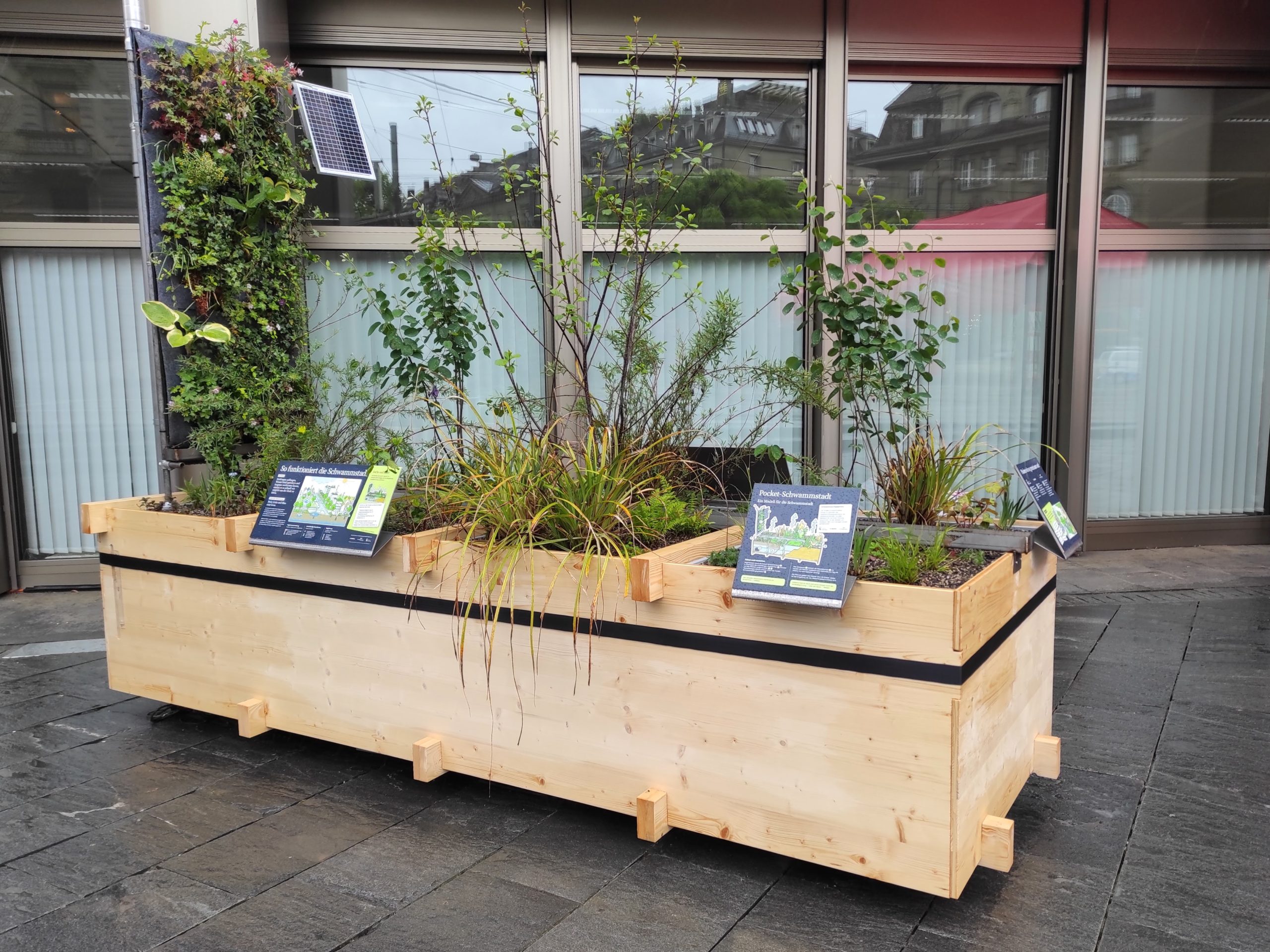 Expliquer ce qu’est une « Ville-éponge »