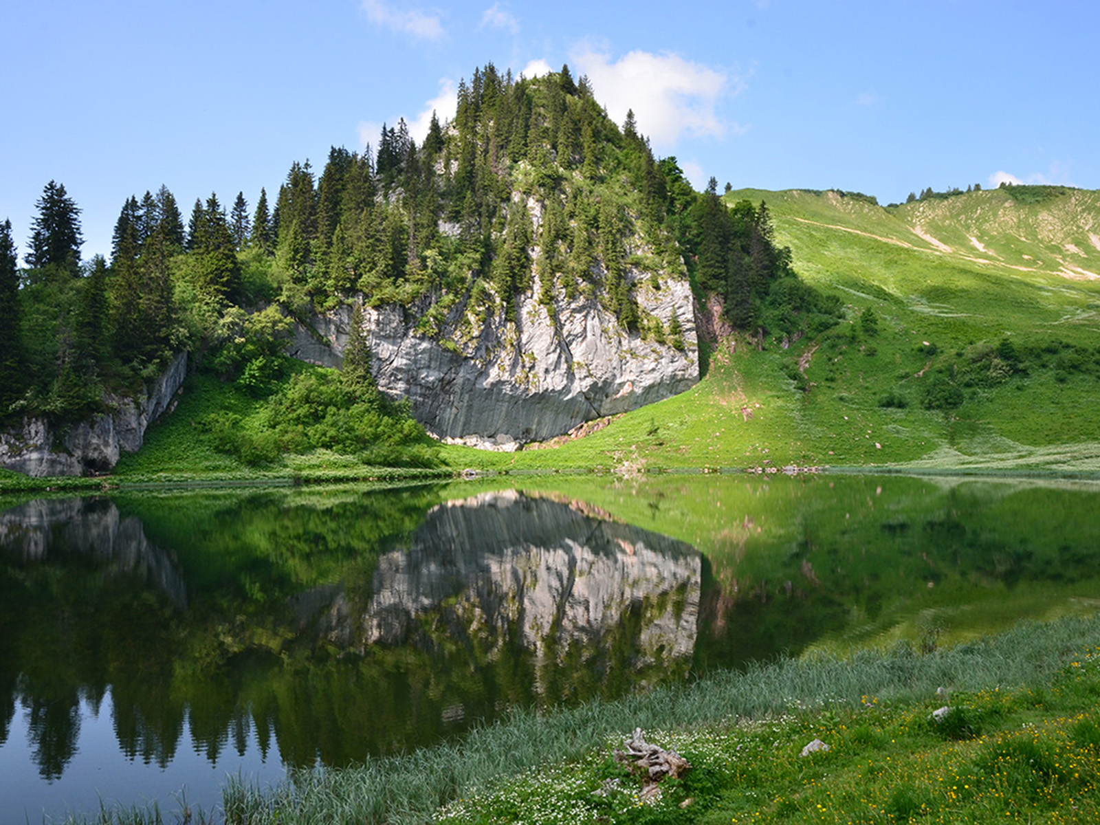 Deux nouveaux panneaux didactiques