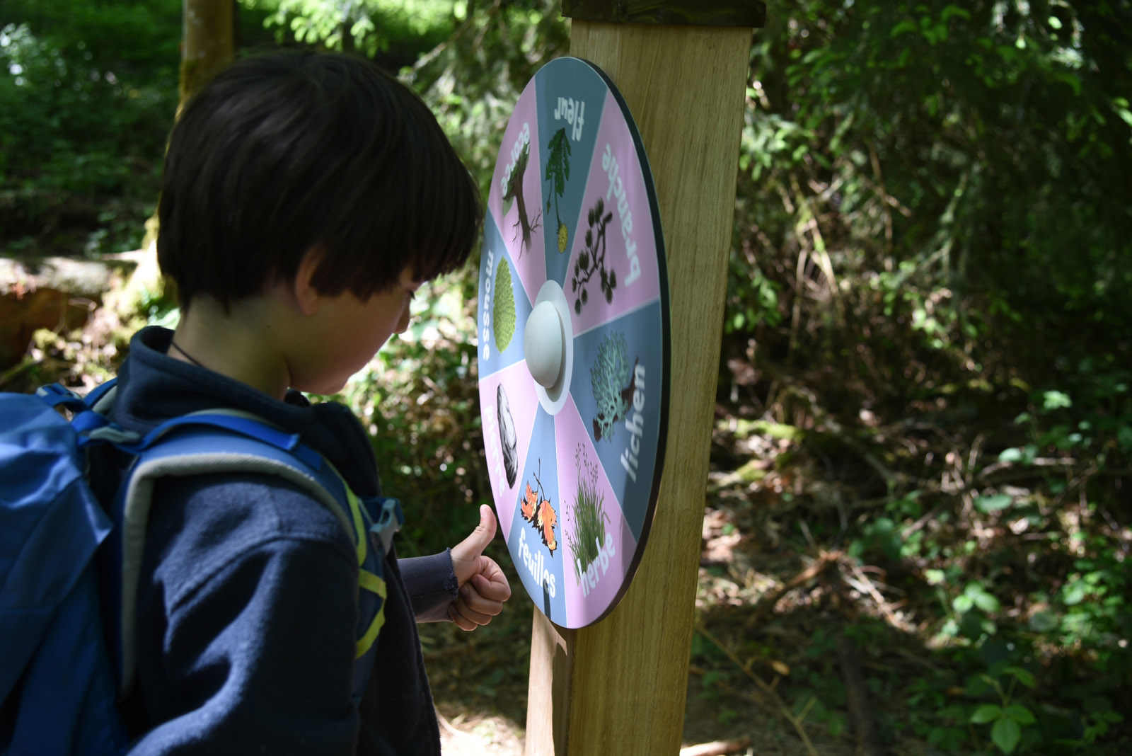 Sentier didactique (cycle 1) – Bufo le Crapaud