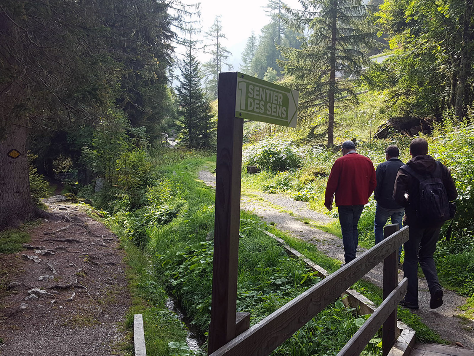 Diagnostic du Sentier des Sens