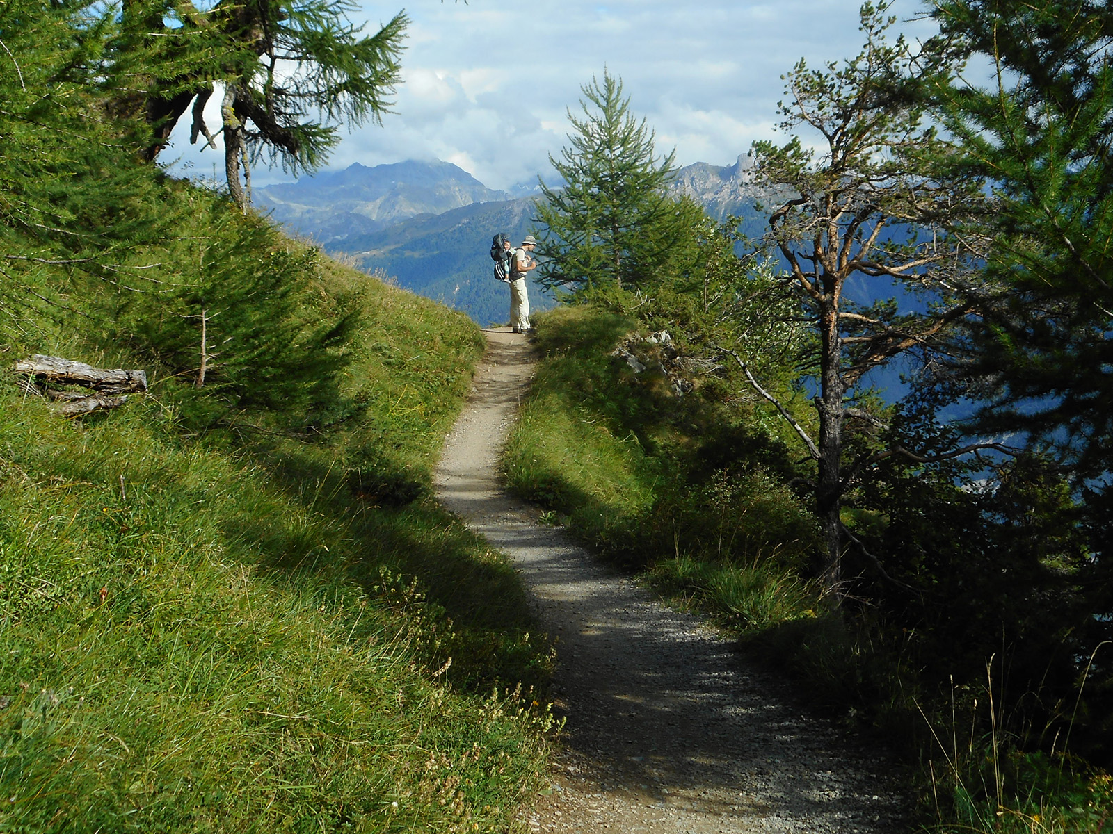 Evaluation des sentiers didactiques du Valais