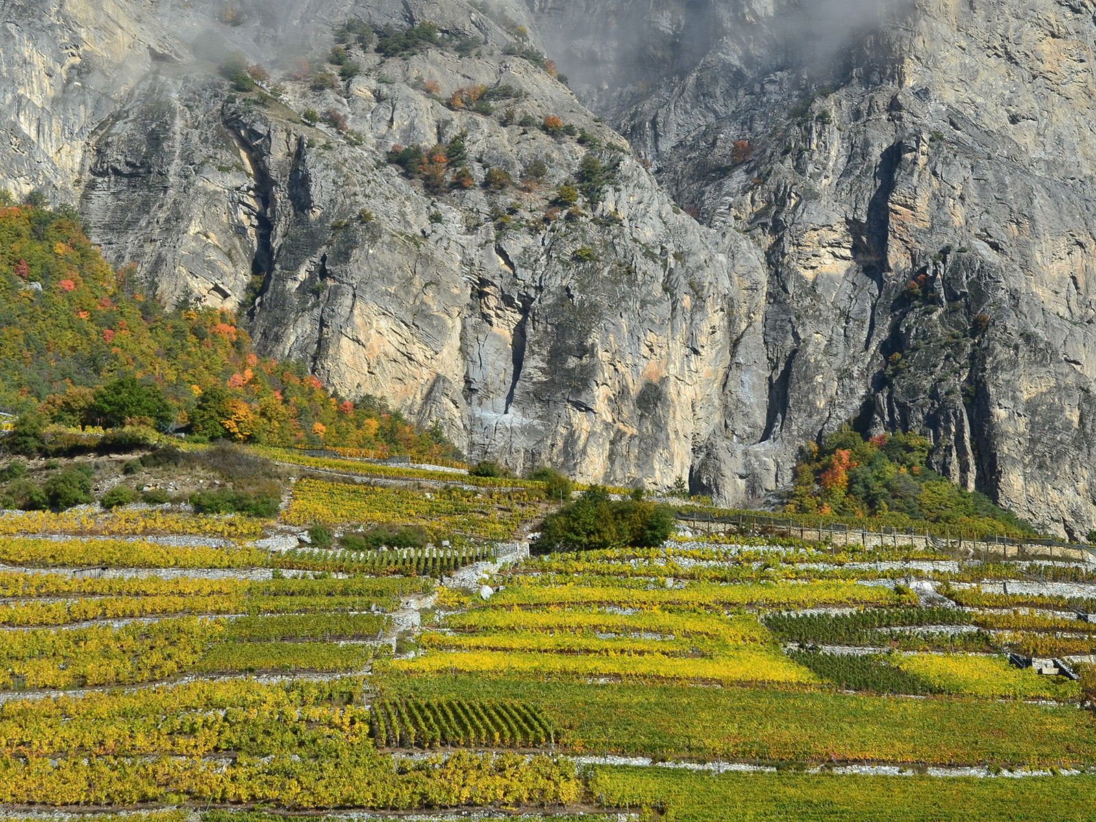 Formation sur les paysages viticoles